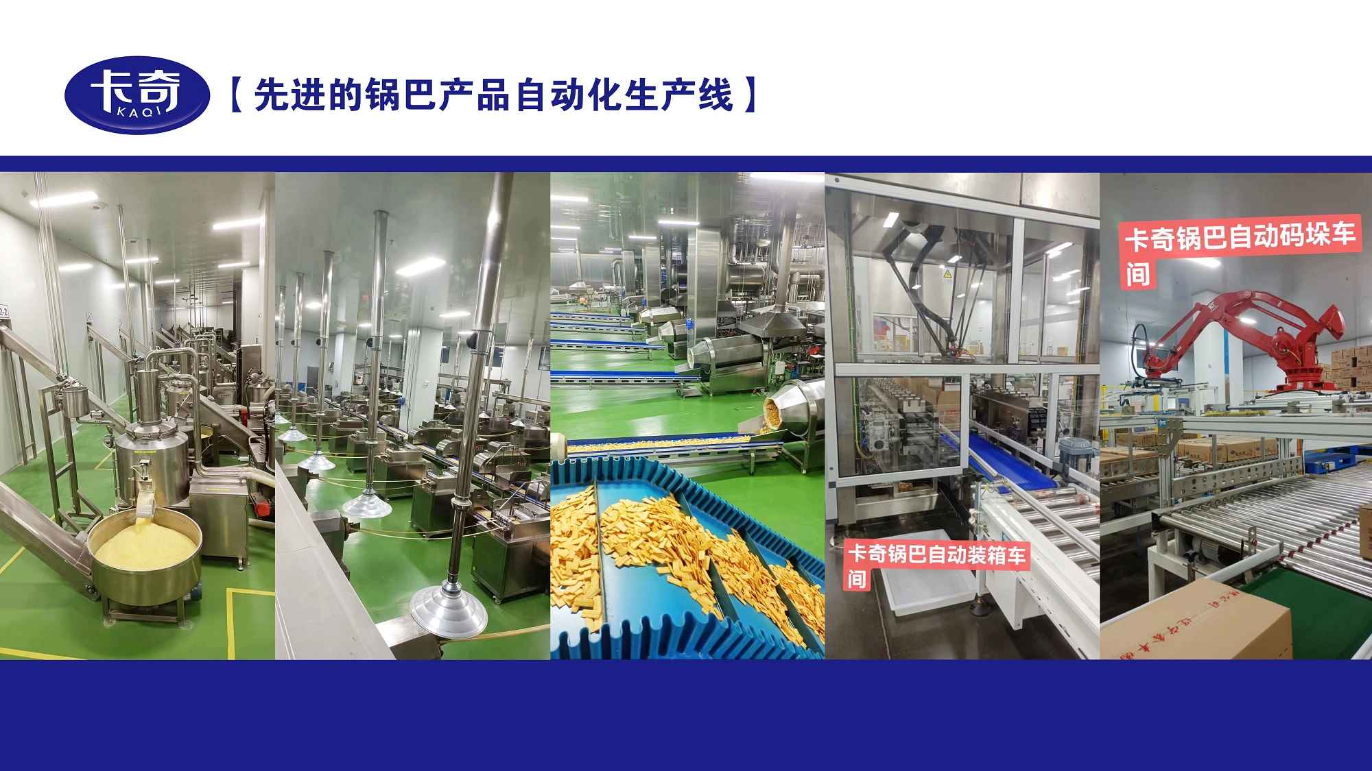 1-微信图片_20241118135100