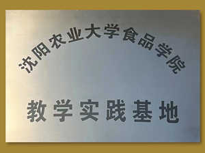 教学实践基地