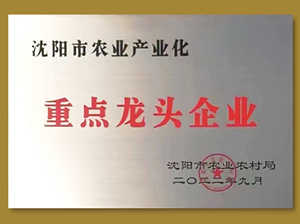 重点龙头企业